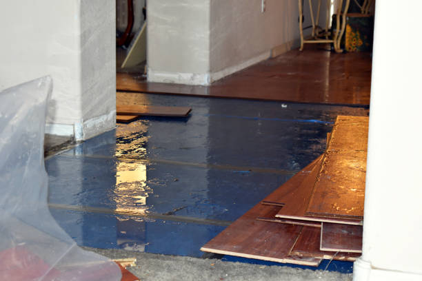 Professional Basement Flood Cleanup technician working in Steubenville, OH
